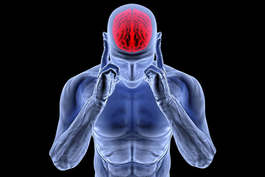 Связь мозга и мышц